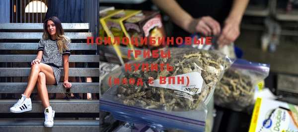 прущий лед Верея