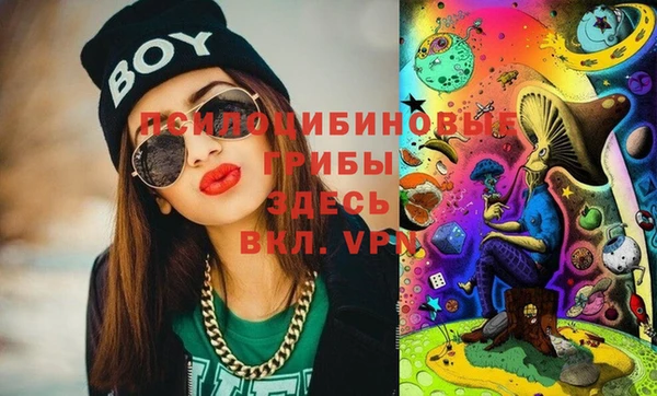 прущий лед Верея
